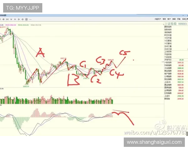 杭州乒乓球队防守策略解析与战术创新探讨