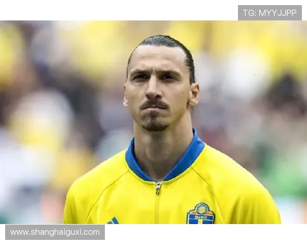 黑皮帅哥足球明星的魅力与成就揭秘,探索他们在绿茵场上的传奇故事